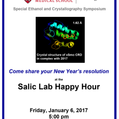 New Year's Resolution: Crystallography - Salic Lab Happy Hour, January 6, 2017
