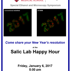 New Year's Resolution: Microscopy - Salic Lab Happy Hour, January 6, 2017